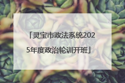 灵宝市政法系统2025年度政治轮训开班