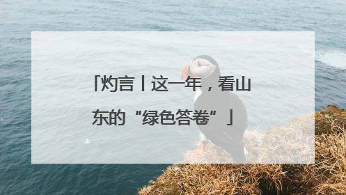 灼言丨这一年，看山东的“绿色答卷”