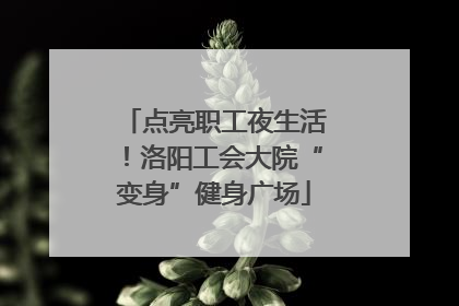 点亮职工夜生活！洛阳工会大院“变身”健身广场