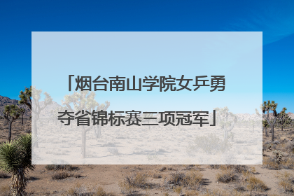 烟台南山学院女乒勇夺省锦标赛三项冠军