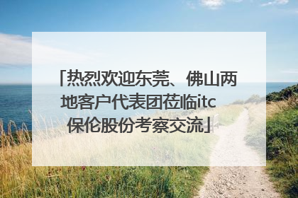 热烈欢迎东莞、佛山两地客户代表团莅临itc保伦股份考察交流