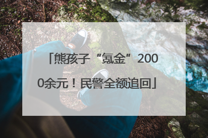 熊孩子“氪金”2000余元！民警全额追回