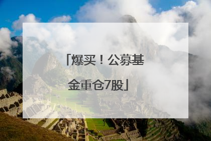 爆买！公募基金重仓7股