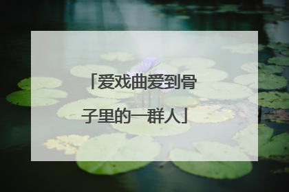 爱戏曲爱到骨子里的一群人