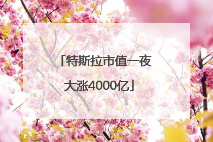 特斯拉市值一夜大涨4000亿