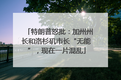 特朗普怒批：加州州长和洛杉矶市长“无能”，现在一片混乱