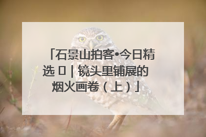 石景山拍客•今日精选 ㉓｜镜头里铺展的烟火画卷（上）
