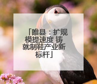 睢县：扩规模提速度 铸就制鞋产业新标杆