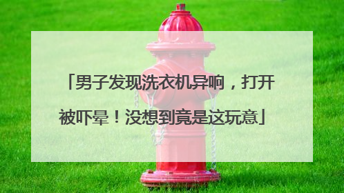 男子发现洗衣机异响，打开被吓晕！没想到竟是这玩意