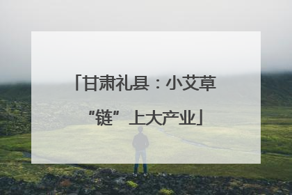 甘肃礼县：小艾草“链”上大产业