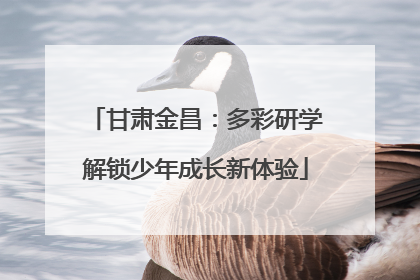 甘肃金昌：多彩研学解锁少年成长新体验