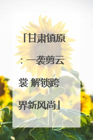 甘肃镇原：一袭剪云裳 解锁跨界新风尚