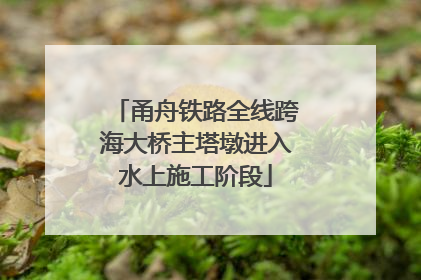 甬舟铁路全线跨海大桥主塔墩进入水上施工阶段