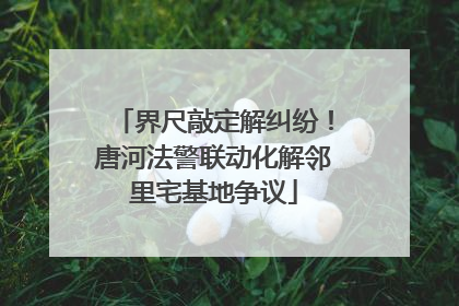 界尺敲定解纠纷！唐河法警联动化解邻里宅基地争议