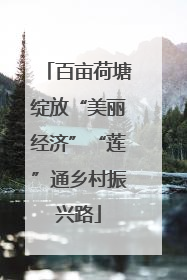 百亩荷塘绽放“美丽经济”“莲”通乡村振兴路
