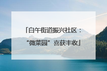 白午街道振兴社区：“微菜园”喜获丰收