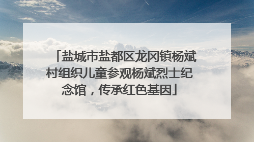 盐城市盐都区龙冈镇杨斌村组织儿童参观杨斌烈士纪念馆，传承红色基因