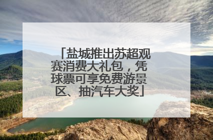 盐城推出苏超观赛消费大礼包，凭球票可享免费游景区、抽汽车大奖