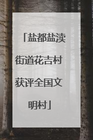 盐都盐渎街道花吉村获评全国文明村