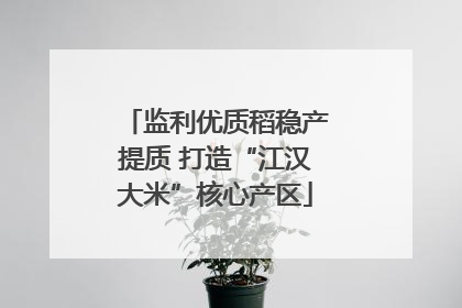 监利优质稻稳产提质 打造“江汉大米”核心产区