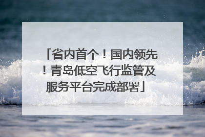 省内首个！国内领先！青岛低空飞行监管及服务平台完成部署