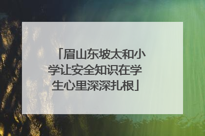 眉山东坡太和小学让安全知识在学生心里深深扎根