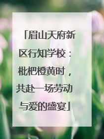 眉山天府新区行知学校：枇杷橙黄时，共赴一场劳动与爱的盛宴