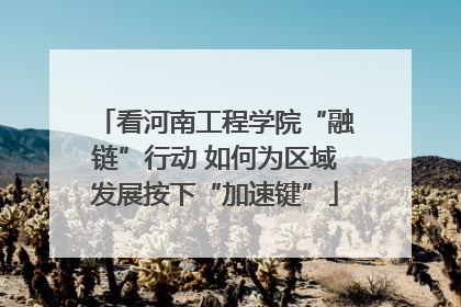看河南工程学院“融链”行动 如何为区域发展按下“加速键”