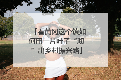 看黄冈这个镇如何用一片叶子“沏”出乡村振兴路
