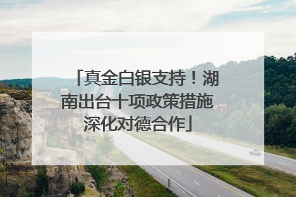真金白银支持！湖南出台十项政策措施深化对德合作