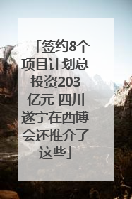 签约8个项目计划总投资203亿元 四川遂宁在西博会还推介了这些