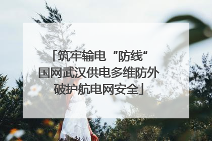 筑牢输电“防线” 国网武汉供电多维防外破护航电网安全