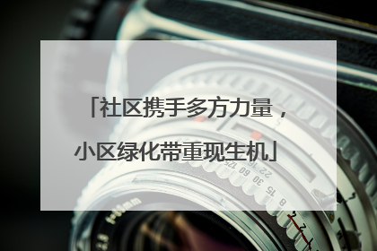 社区携手多方力量，小区绿化带重现生机