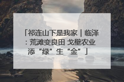 祁连山下是我家｜临泽：荒滩变良田 戈壁农业添“绿”生“金”