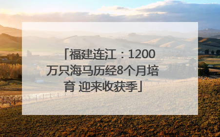 福建连江：1200万只海马历经8个月培育 迎来收获季