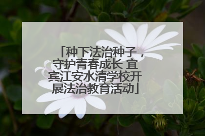 种下法治种子，守护青春成长 宜宾江安水清学校开展法治教育活动