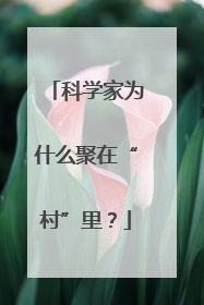 科学家为什么聚在“村”里？