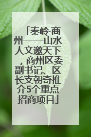 秦岭·商州——山水人文邀天下，商州区委副书记、区长支朝奇推介5个重点招商项目