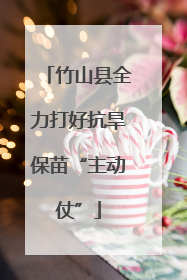 竹山县全力打好抗旱保苗“主动仗”