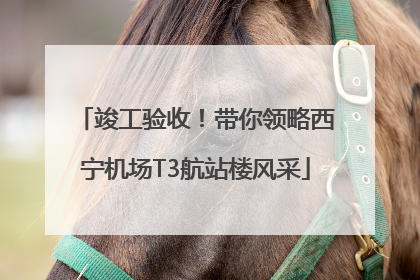 竣工验收！带你领略西宁机场T3航站楼风采