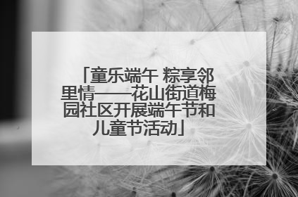 童乐端午 粽享邻里情——花山街道梅园社区开展端午节和儿童节活动