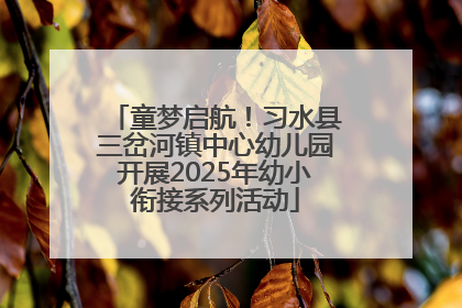 童梦启航！习水县三岔河镇中心幼儿园开展2025年幼小衔接系列活动