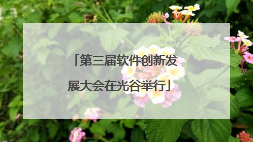 第三届软件创新发展大会在光谷举行