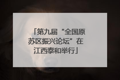 第九届“全国原苏区振兴论坛”在江西泰和举行