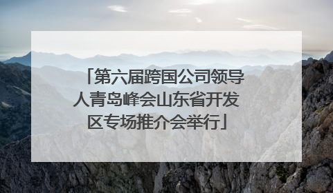 第六届跨国公司领导人青岛峰会山东省开发区专场推介会举行