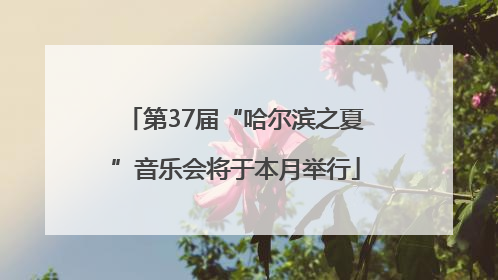 第37届“哈尔滨之夏”音乐会将于本月举行