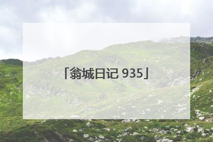 翁城日记 935