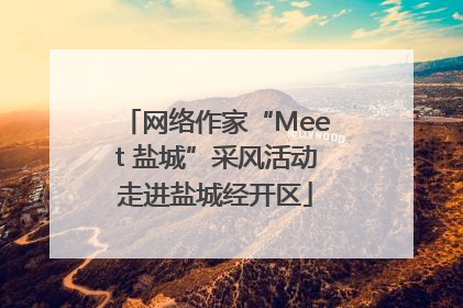 网络作家“Meet 盐城”采风活动走进盐城经开区