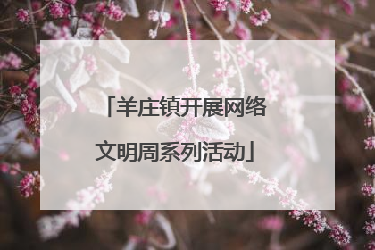 羊庄镇开展网络文明周系列活动