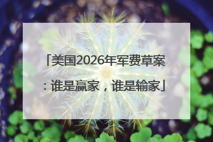 美国2026年军费草案：谁是赢家，谁是输家